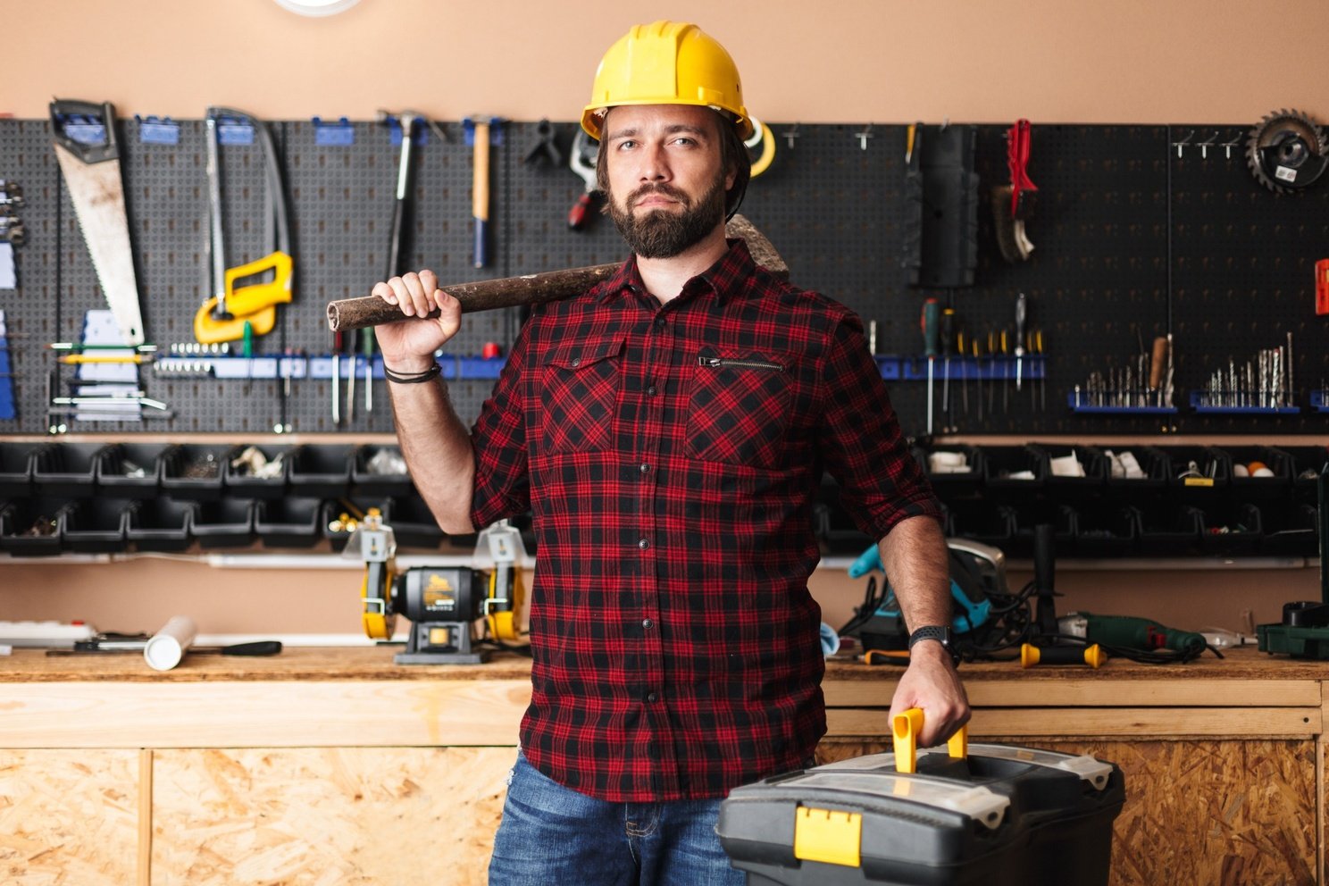 Pest Control Services
